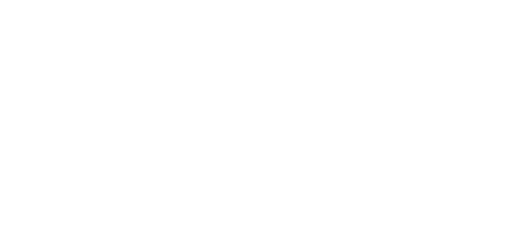 Shopify Plus Partner